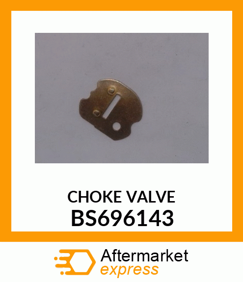 CHOKE VALVE BS696143