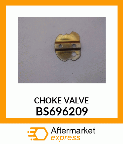 CHOKE VALVE BS696209