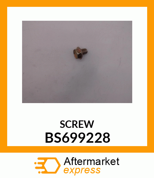 SCREW BS699228