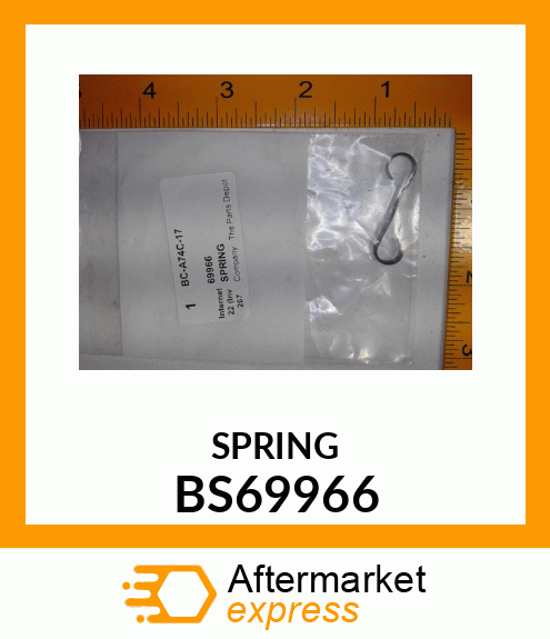 SPRING BS69966