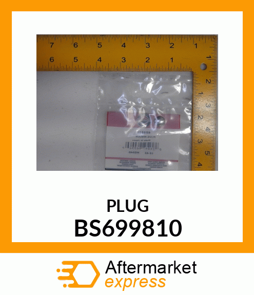 PLUG BS699810