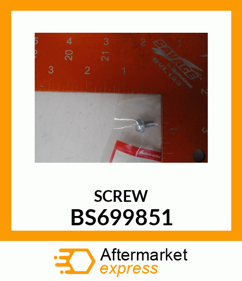 SCREW BS699851