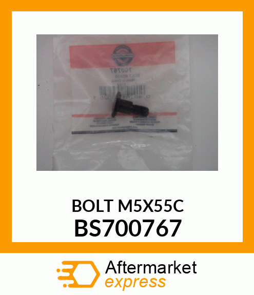 BOLT M5X55C BS700767