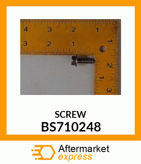 SCREW BS710248