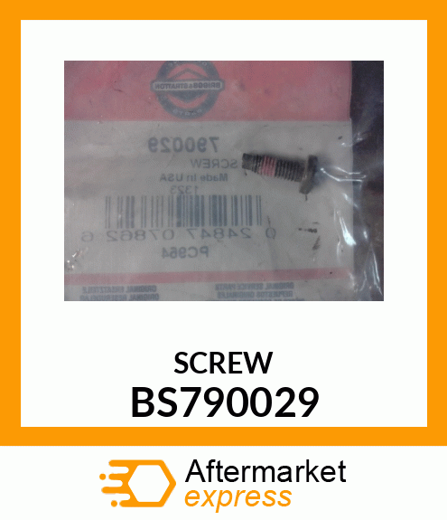 SCREW BS790029