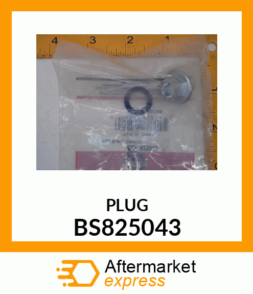 PLUG BS825043