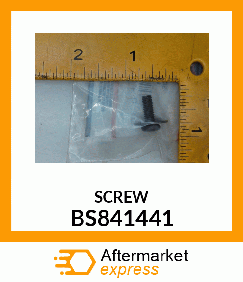 SCREW BS841441