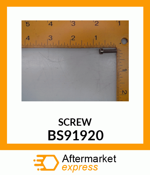 SCREW BS91920