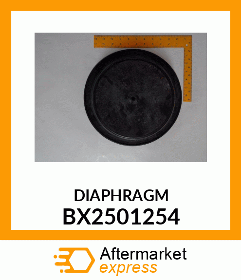 DIAPHRAGM BX2501254