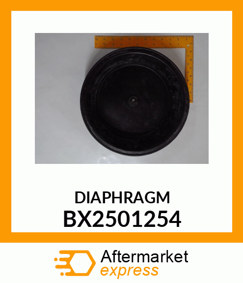 DIAPHRAGM BX2501254