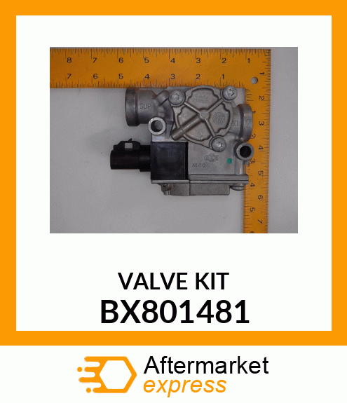 VALVE KIT BX801481