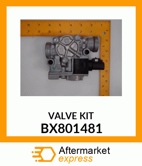 VALVE KIT BX801481