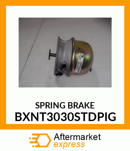 SPRING BRAKE BXNT3030STDPIG