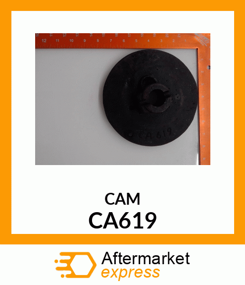 CAM CA619