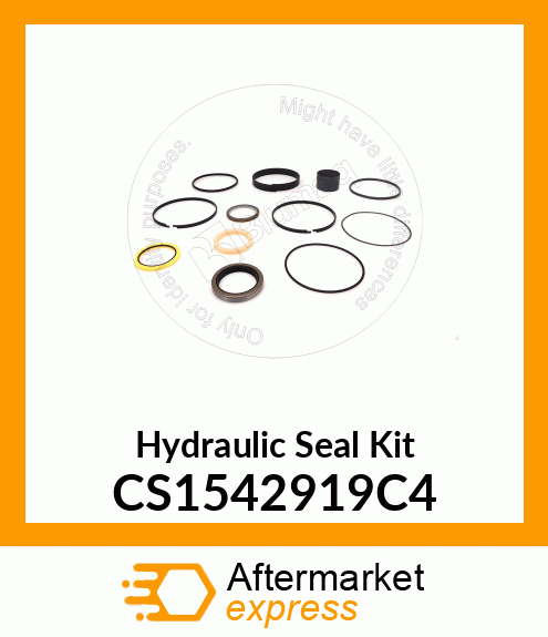 Hydraulic Seal Kit CS1542919C4