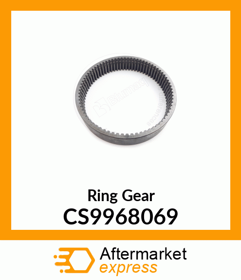 Ring Gear CS9968069