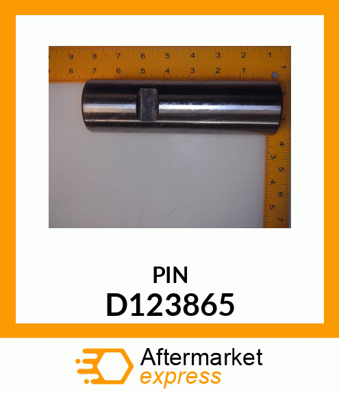 PIN D123865