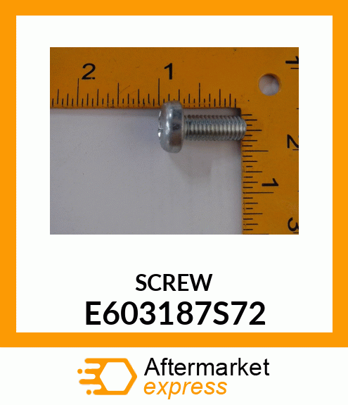 SCREW E603187S72