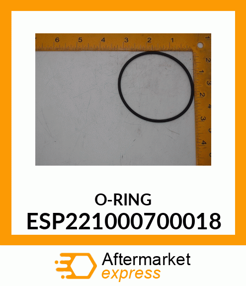 O-RING ESP221000700018