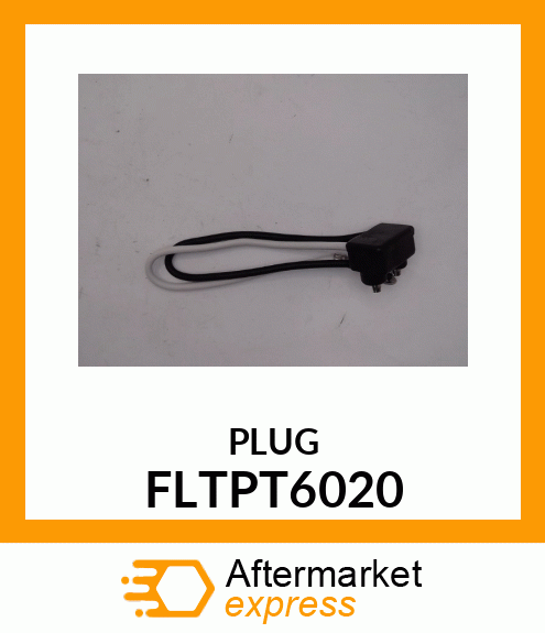 PLUG FLTPT6020