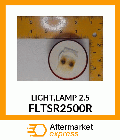 LIGHT,LAMP 2.5 FLTSR2500R