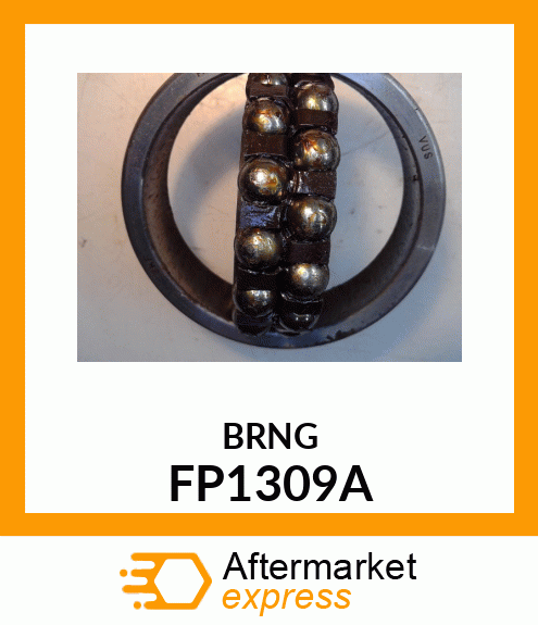 BRNG FP1309A