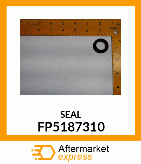 SEAL FP5187310