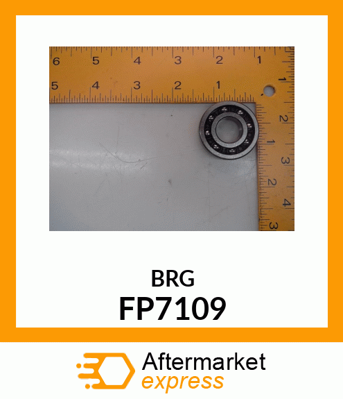 BRG FP7109