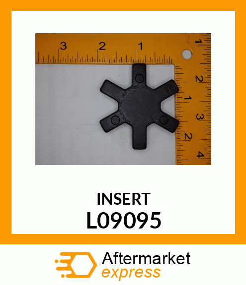 INSERT L09095