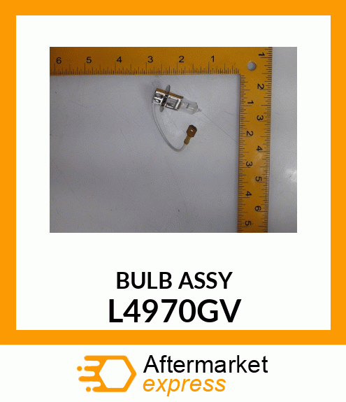 BULB ASSY L4970GV