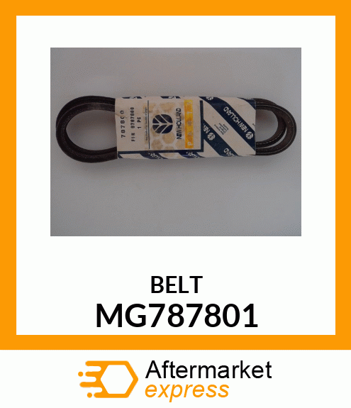 MG787801