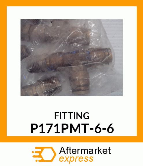 FITTING P171PMT-6-6