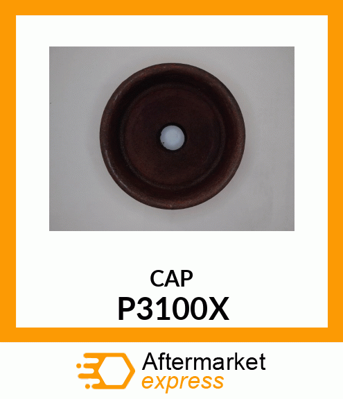 CAP P3100X