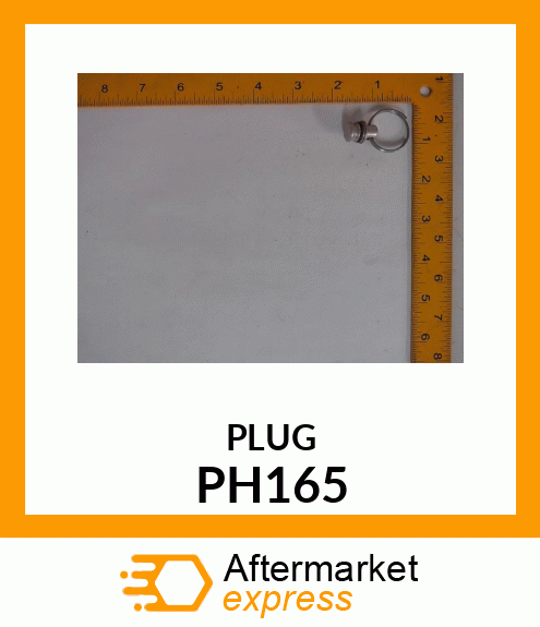 PLUG PH165