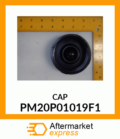 CAP PM20P01019F1