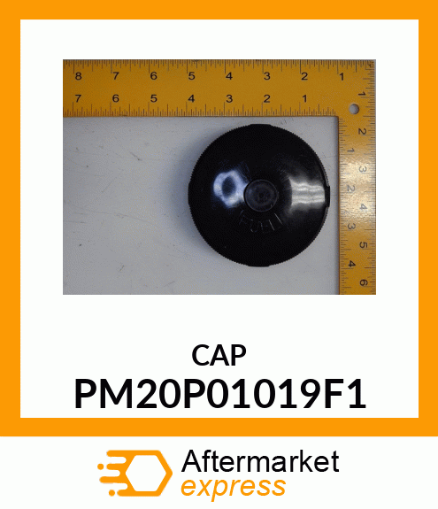 CAP PM20P01019F1