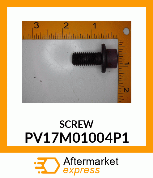 SCREW PV17M01004P1