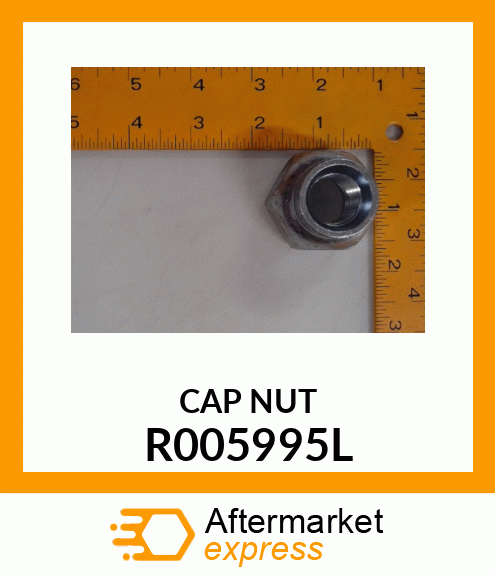 CAP NUT R005995L