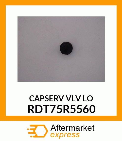 CAPSERV VLV LO RDT75R5560