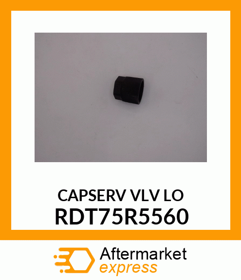 CAPSERV VLV LO RDT75R5560