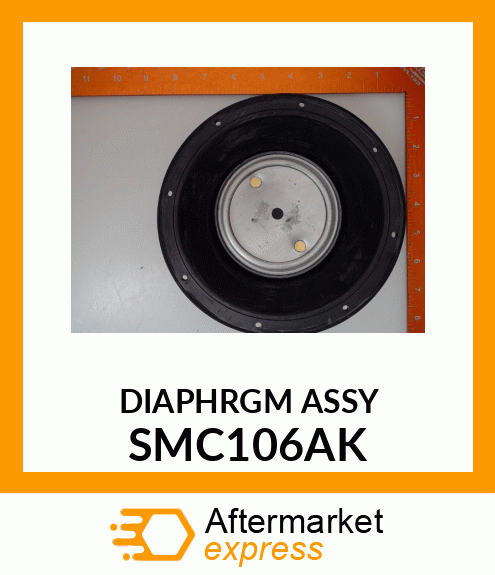 DIAPHRGM ASSY SMC106AK