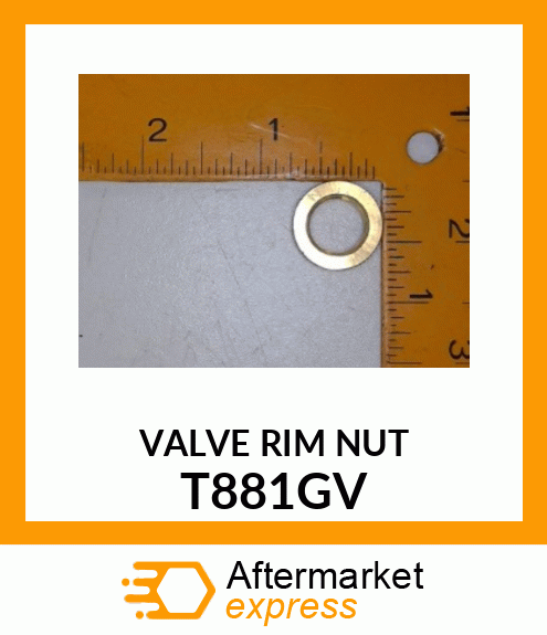 VALVE RIM NUT T881GV