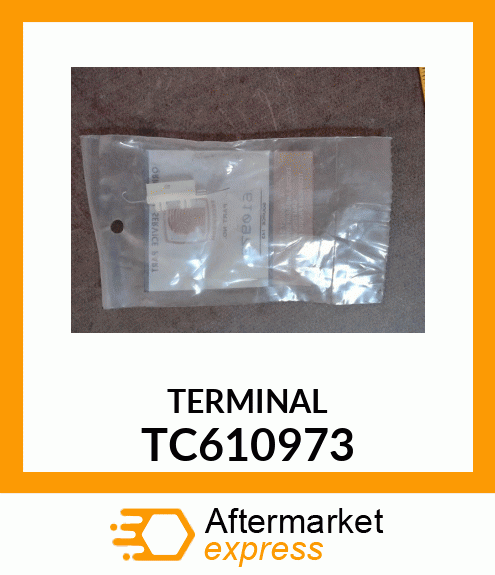 TERMINAL TC610973