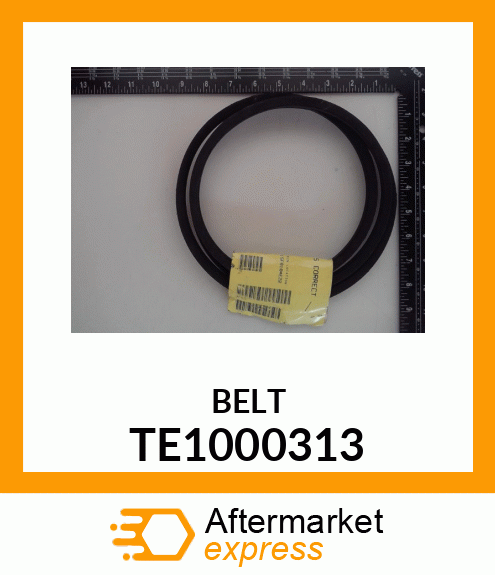 BELT TE1000313