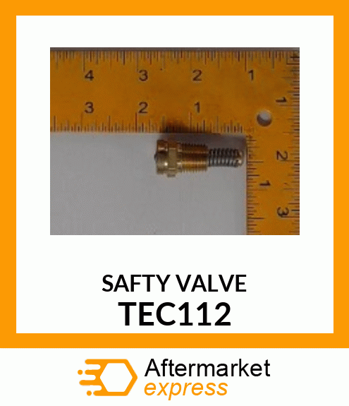 SAFTY VALVE TEC112