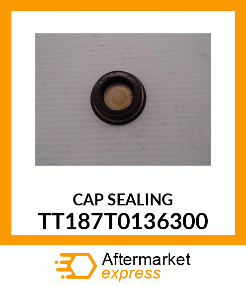 CAP SEALING TT187T0136300