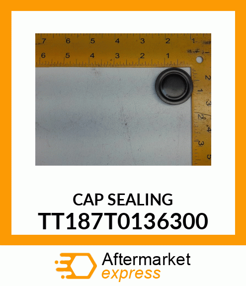 CAP SEALING TT187T0136300