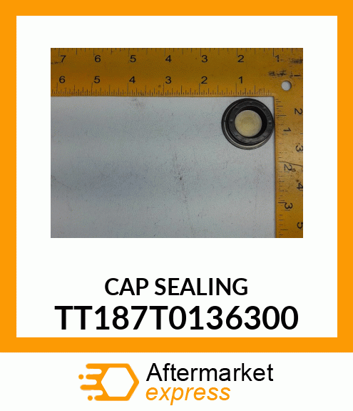 CAP SEALING TT187T0136300