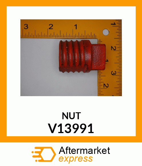 NUT V13991