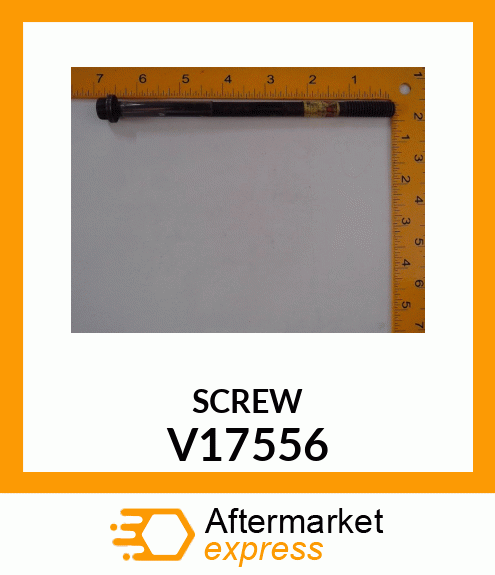SCREW V17556